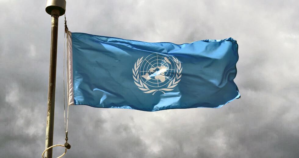 Σημαία ΟΗΕ